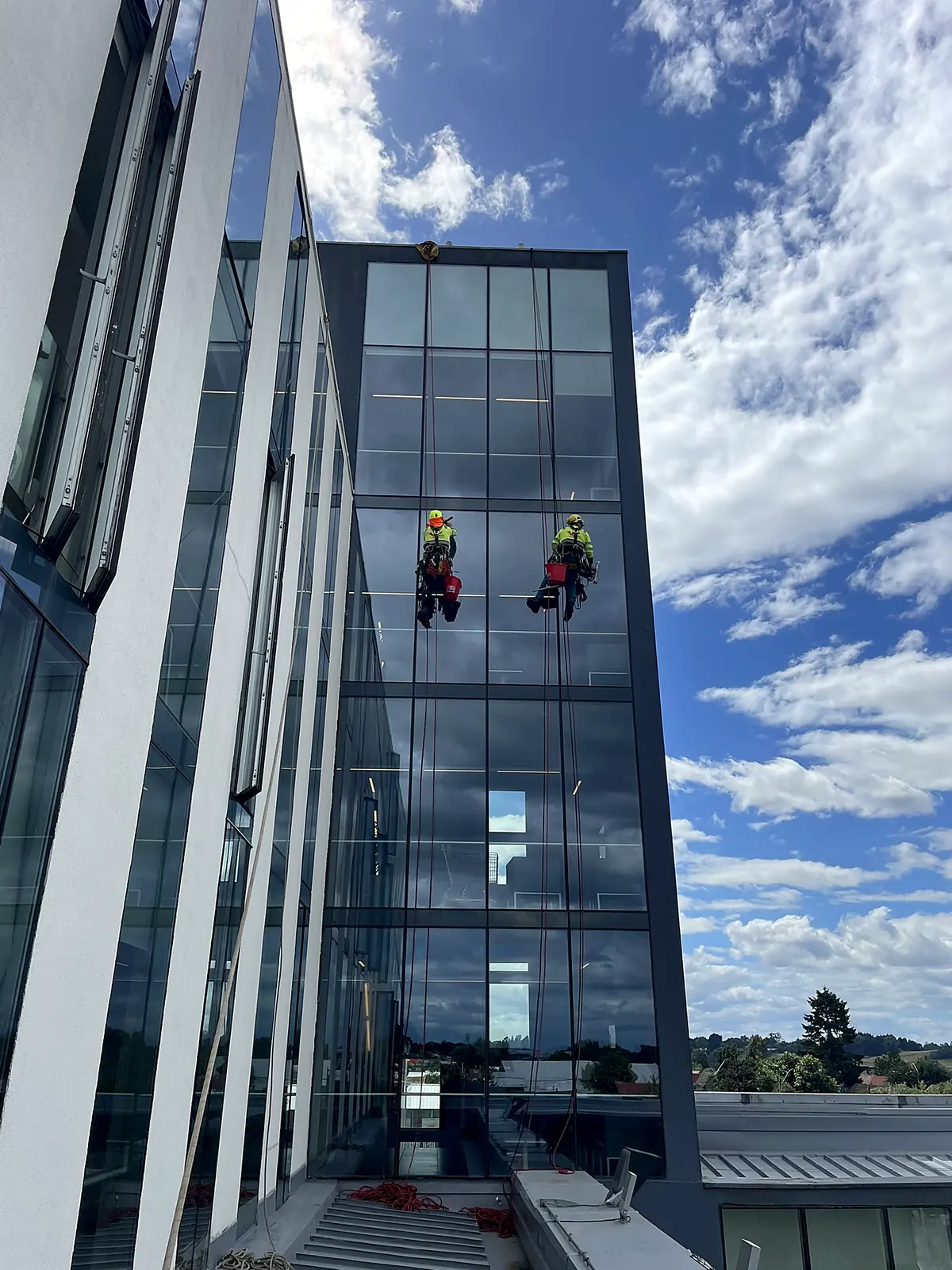 Dos técnicos de VERTEC limpiando el muro cortina de un edificio con acceso por cuerdas